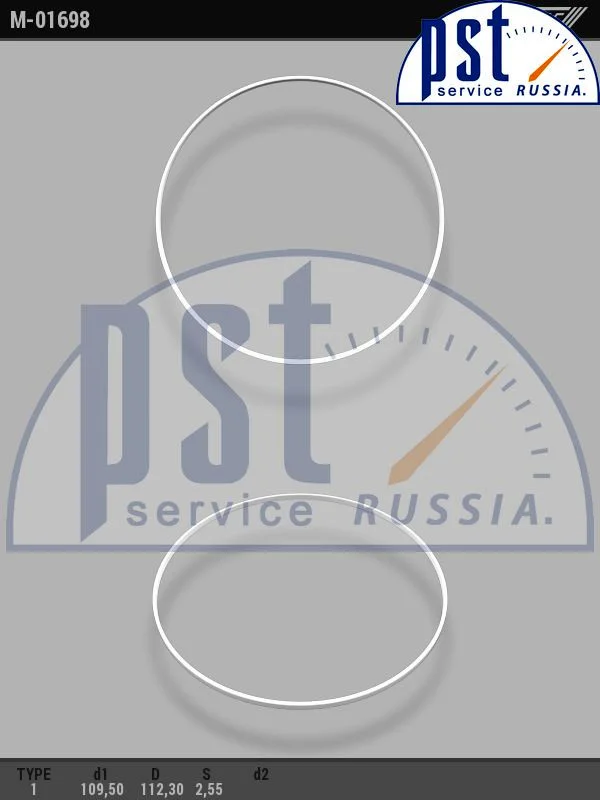 Кольцо тефлоновое 109,50/112,30*2,55
